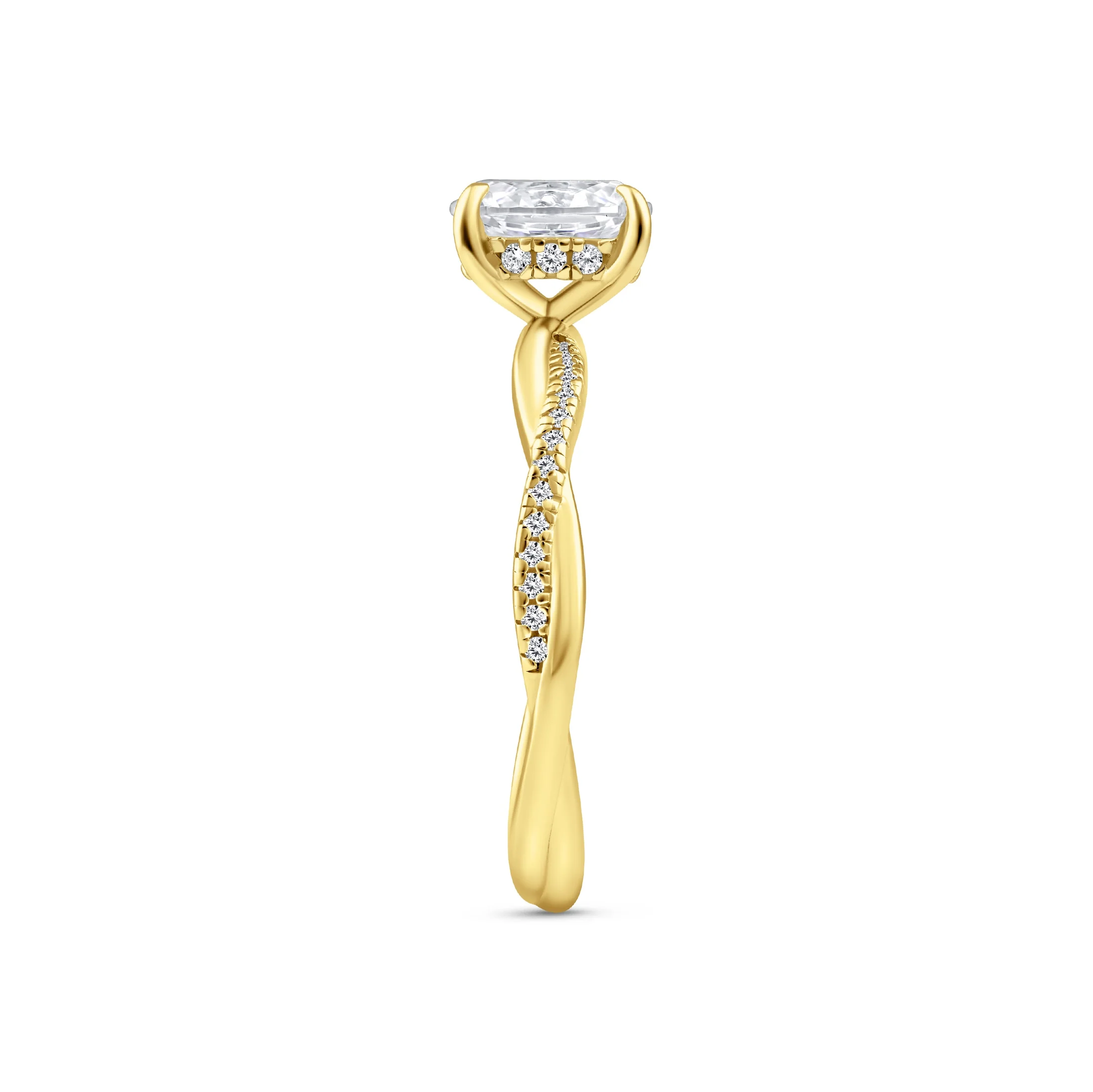 The Charlotte - Gold - Image 6