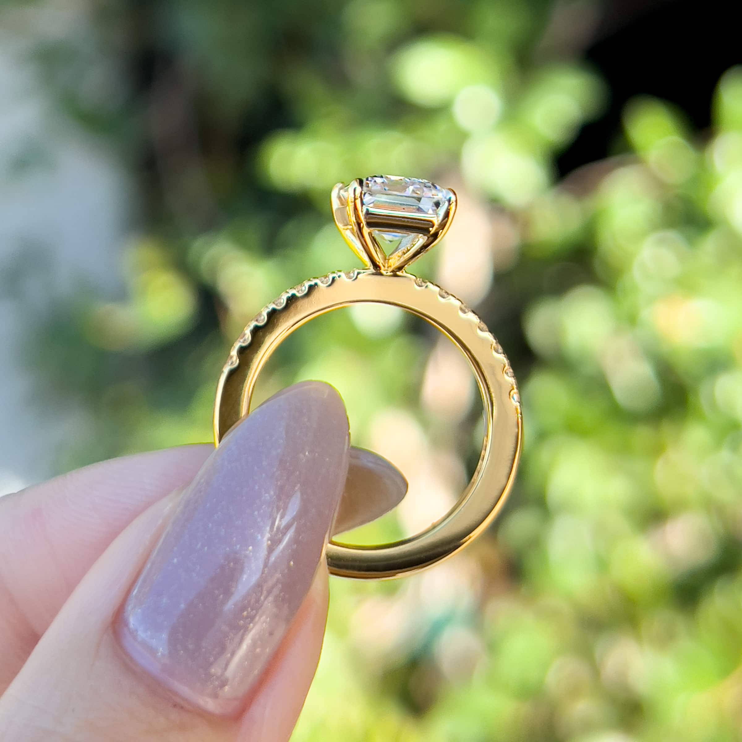 The Sage - Gold - Image 4